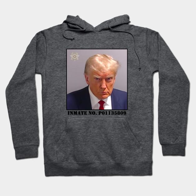 Trump mugshot Hoodie by speedyturtle